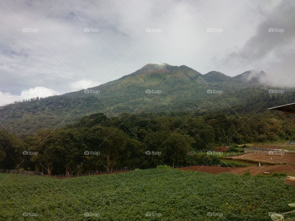 volcano mountain(east java)