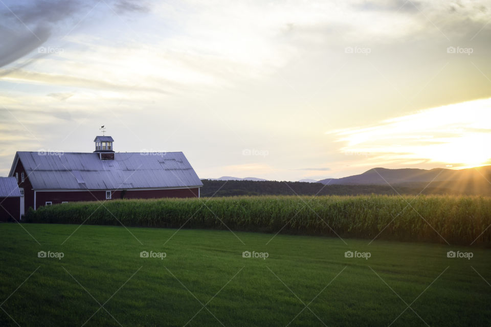 Farm and sunset
