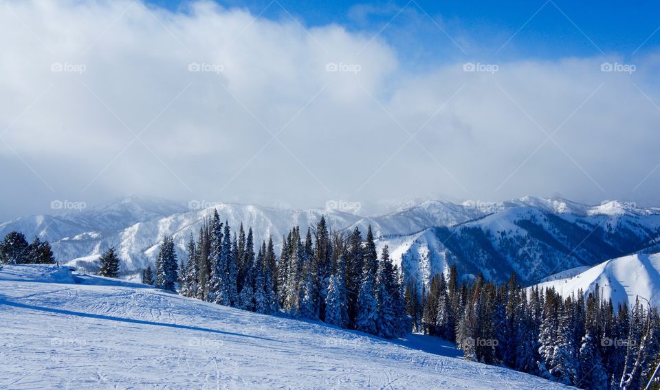 Valley in winter