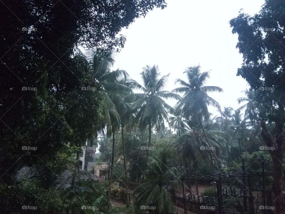 Timing photo clicked. It's a photo clicked at 8:30 PM when lightening stricked.