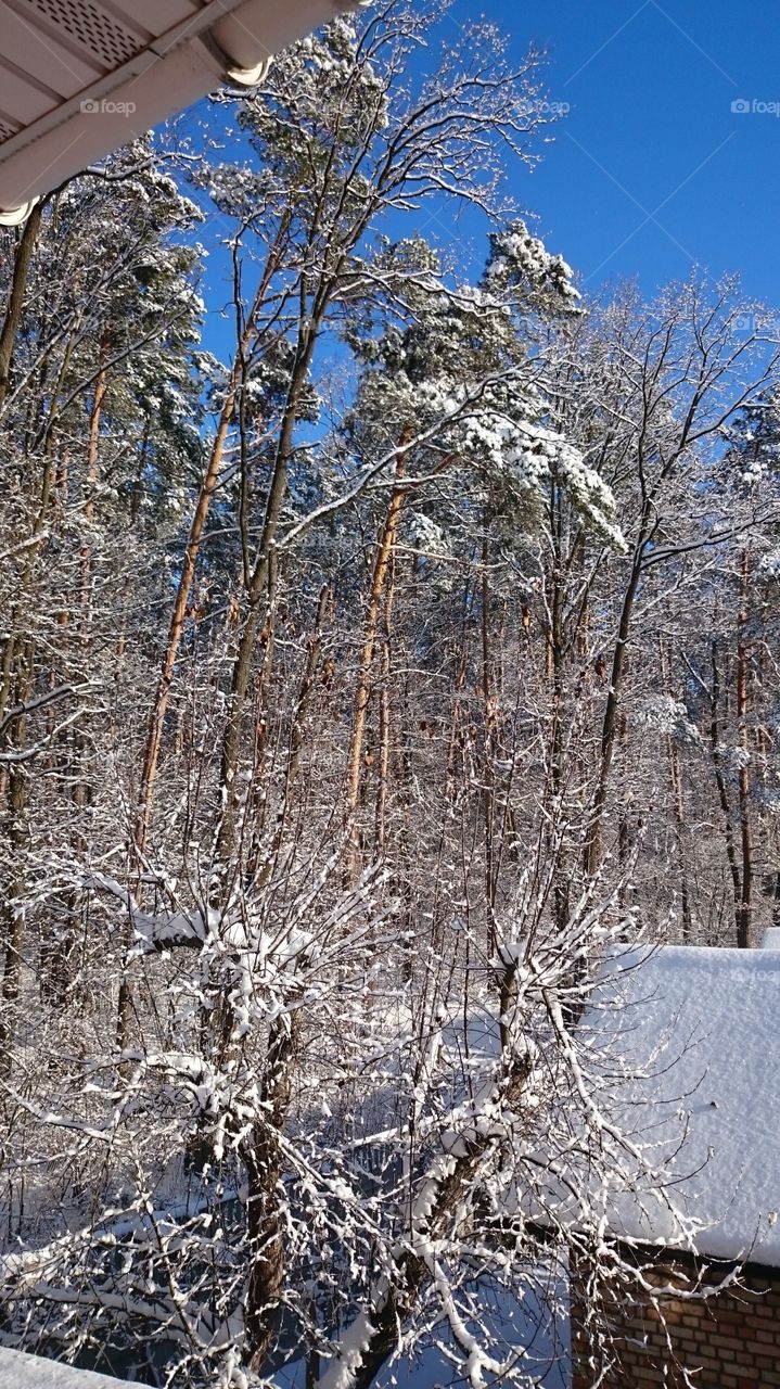 view from the window