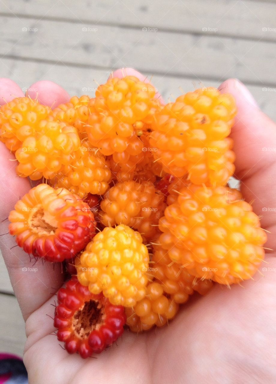 Salmon Berries