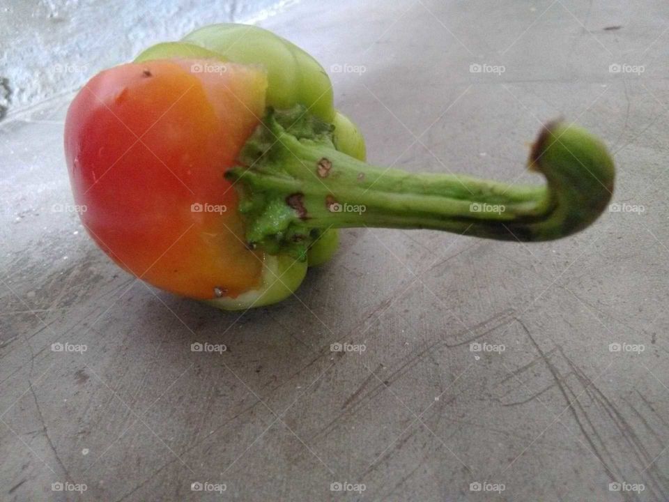 die craft pepper