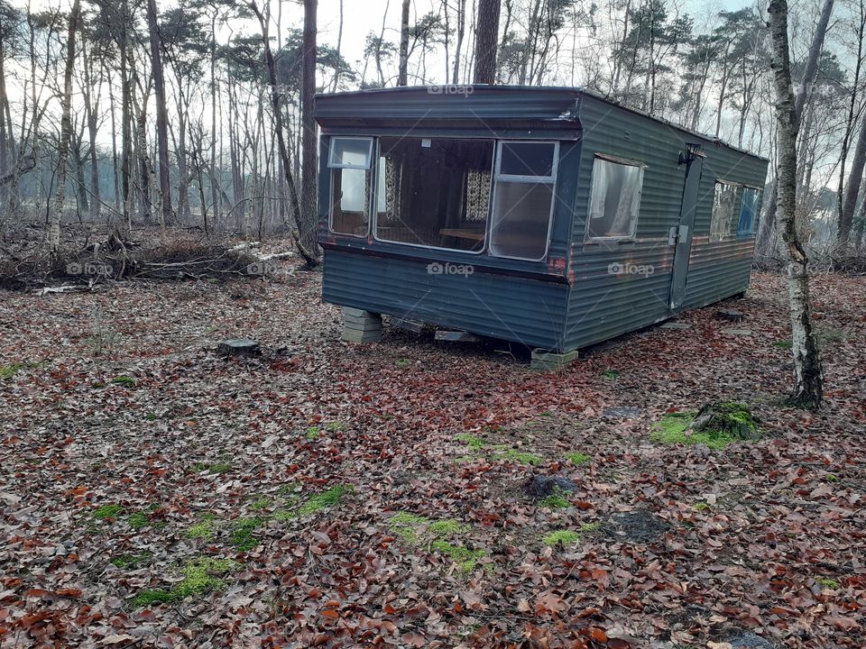 mobile home outside in the woods