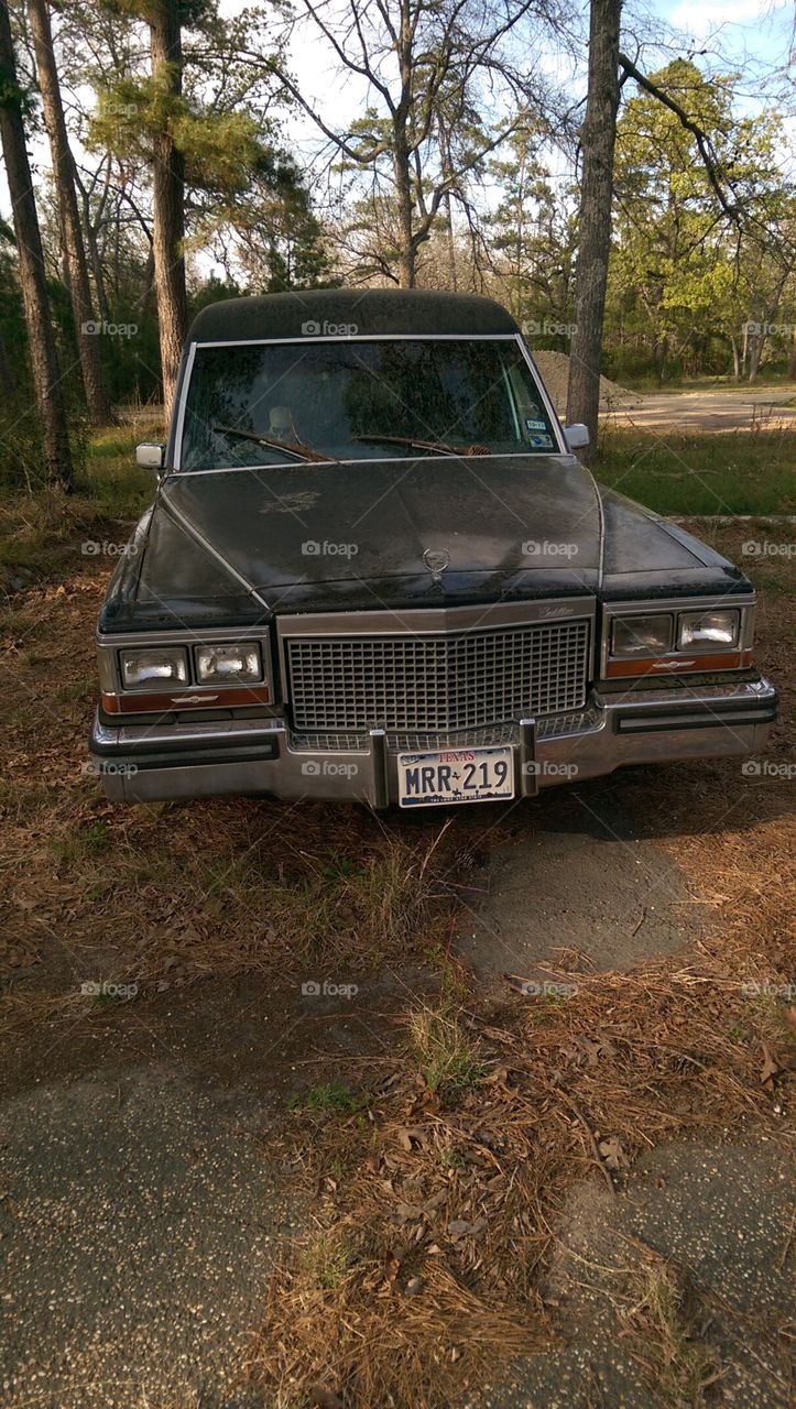 Hearts in the middle  of no where.