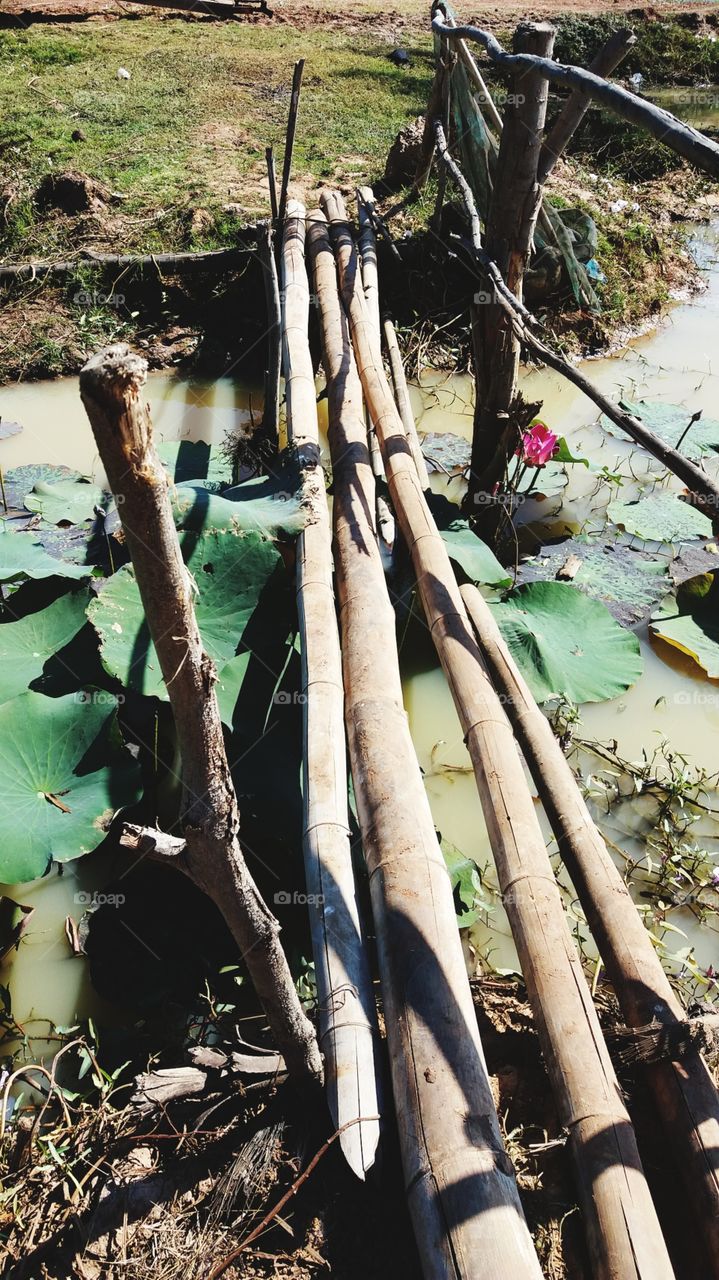 Bamboo bridge
