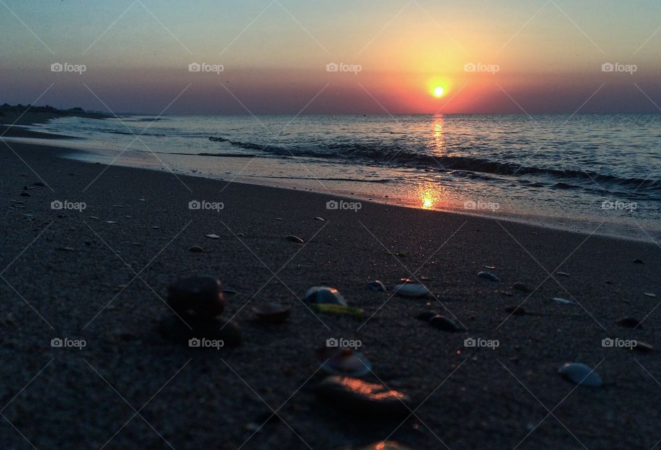 Shells and stones on a beach at sunrise