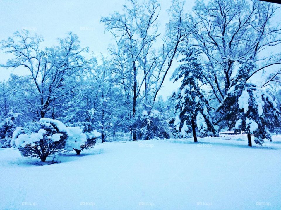 winter wonderland. i woke up one morning to a snowstorm and it looked amazing so i took a photo of it
