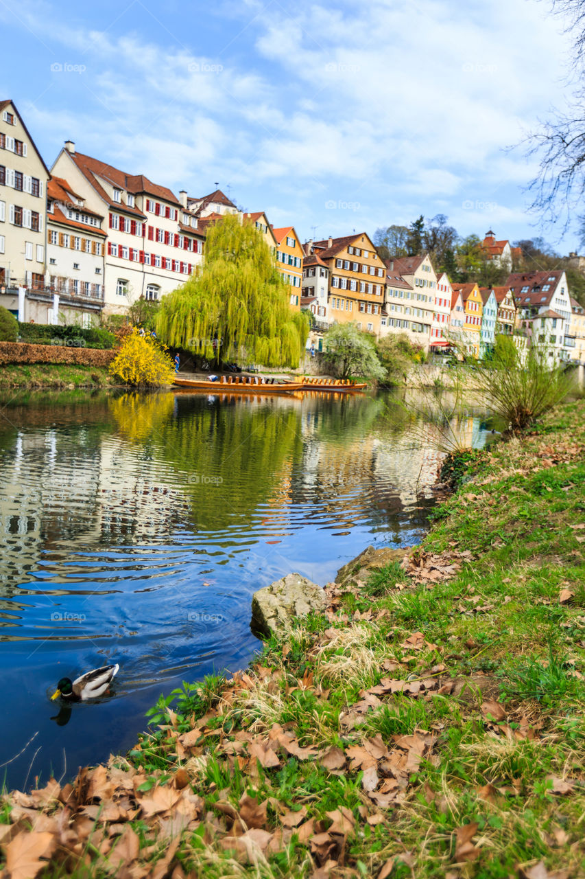 Tübingen