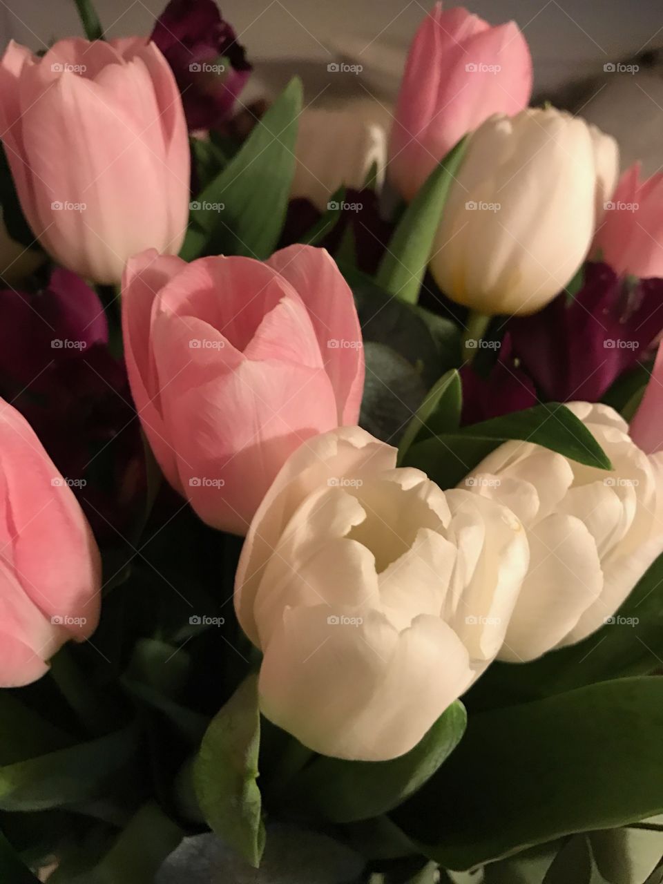 Flower, No Person, Tulip, Love, Bouquet