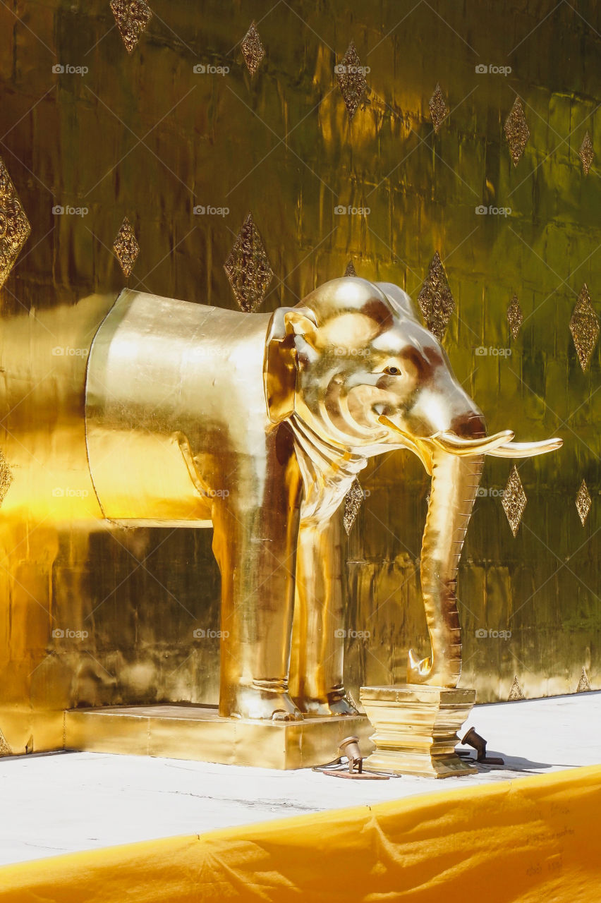 Life size golden elephant, Thailand 