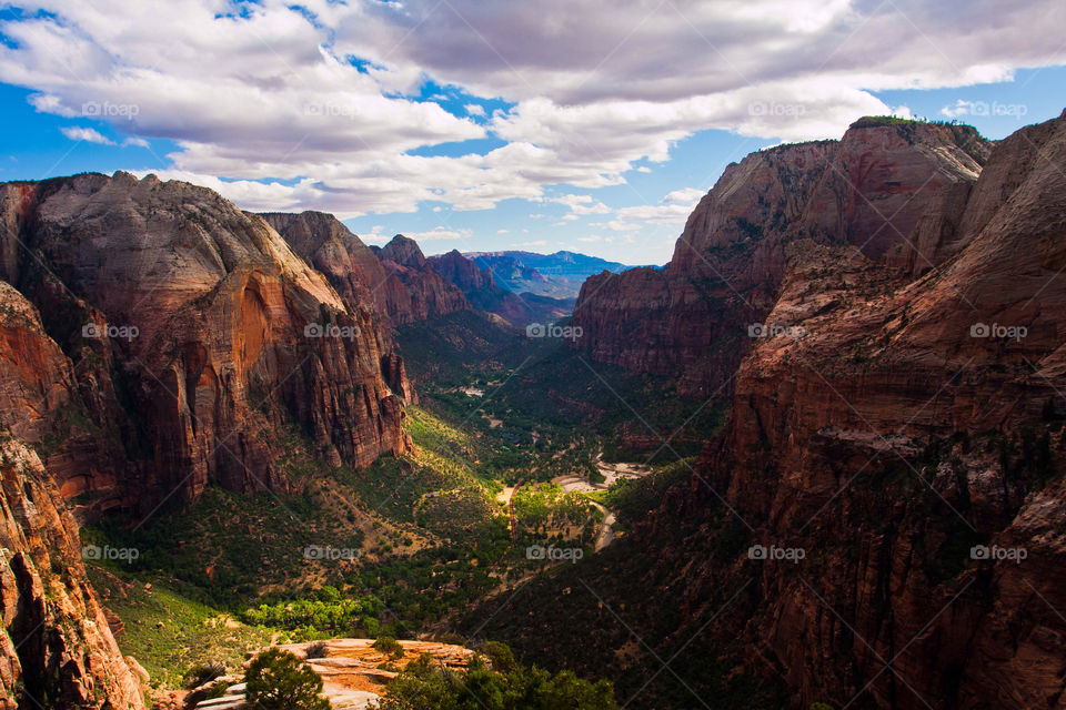 Landscape in Zion national park
