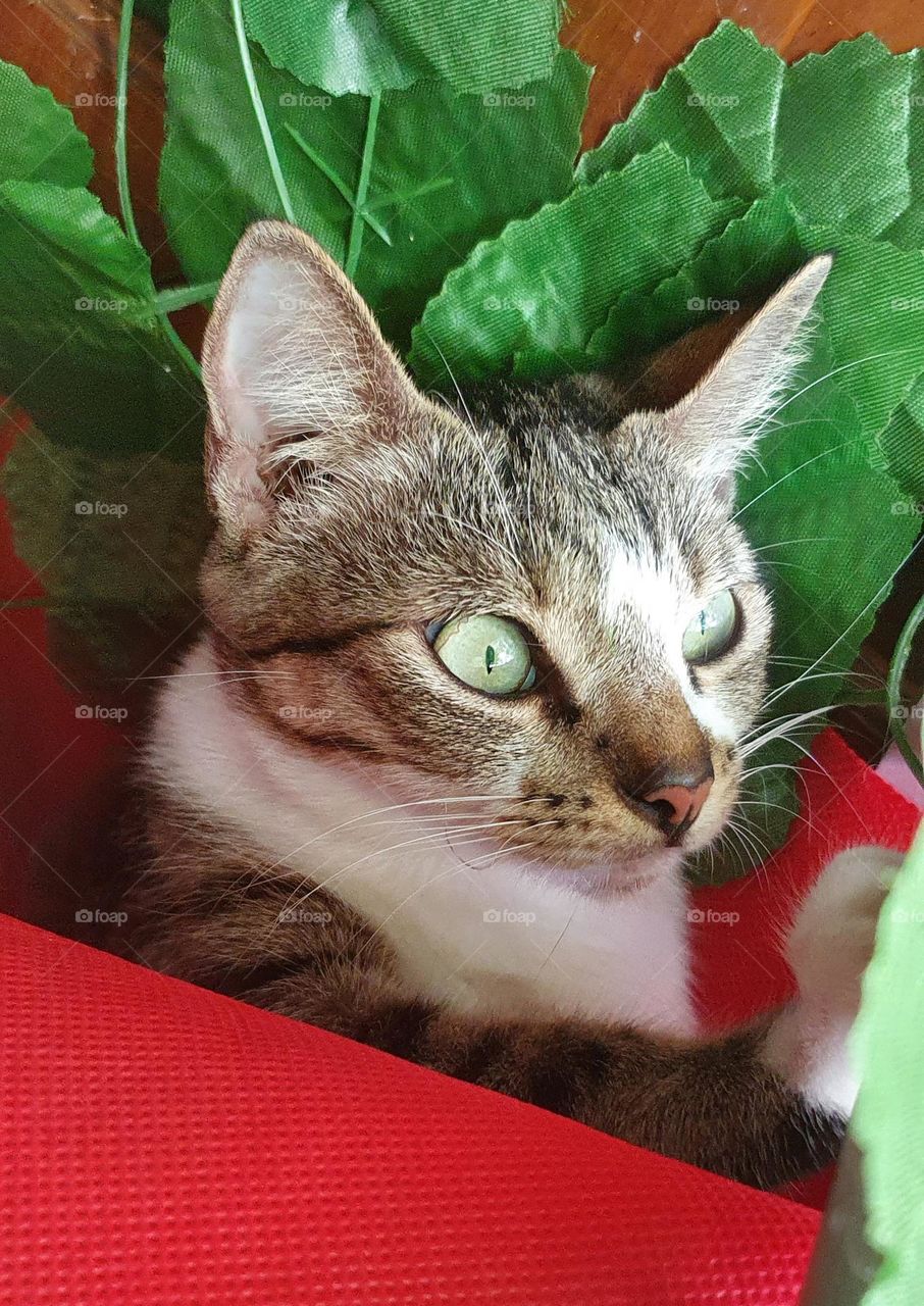 Editors' Choice : Photo of the week