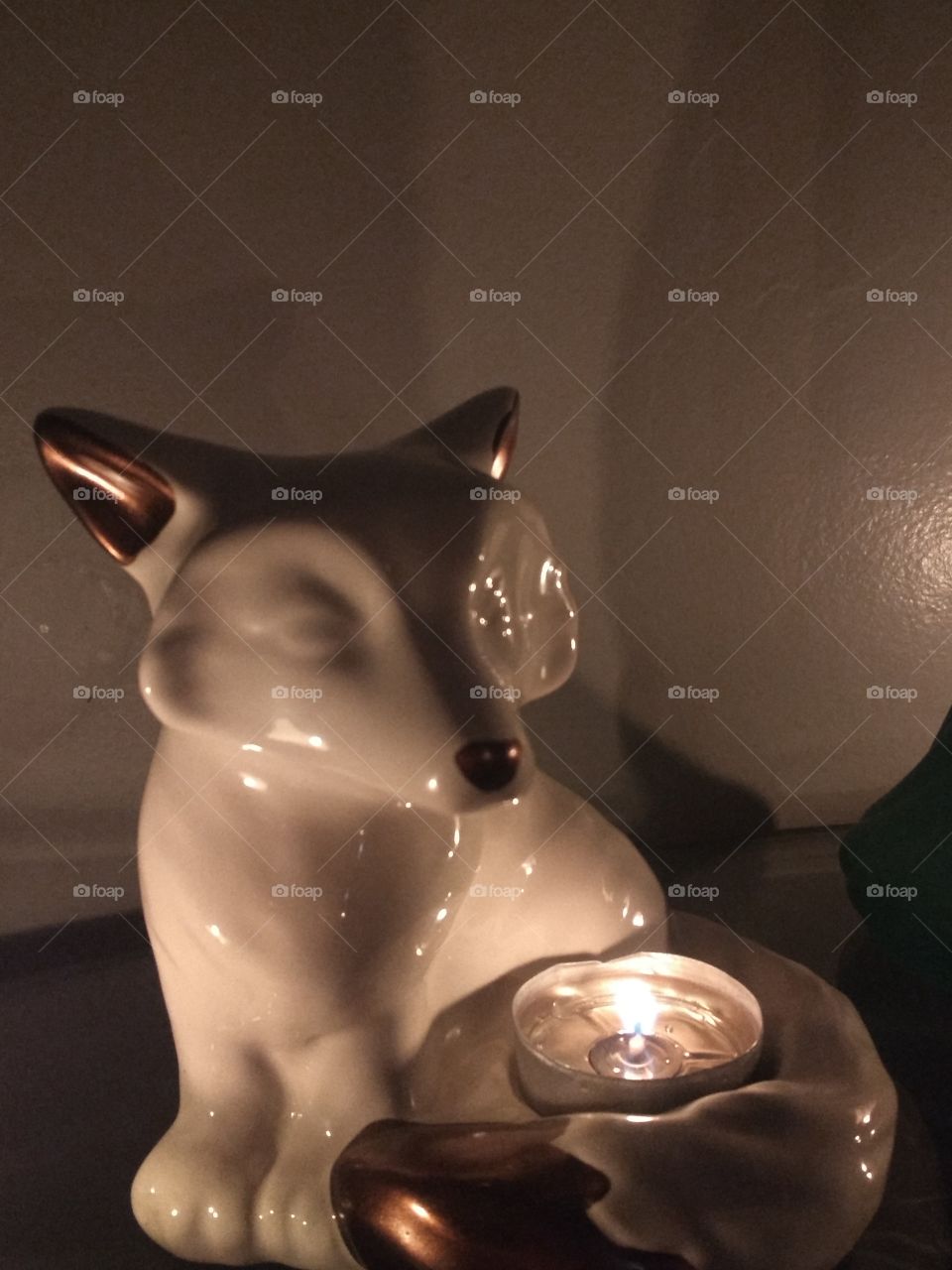 Fox in Candle Light