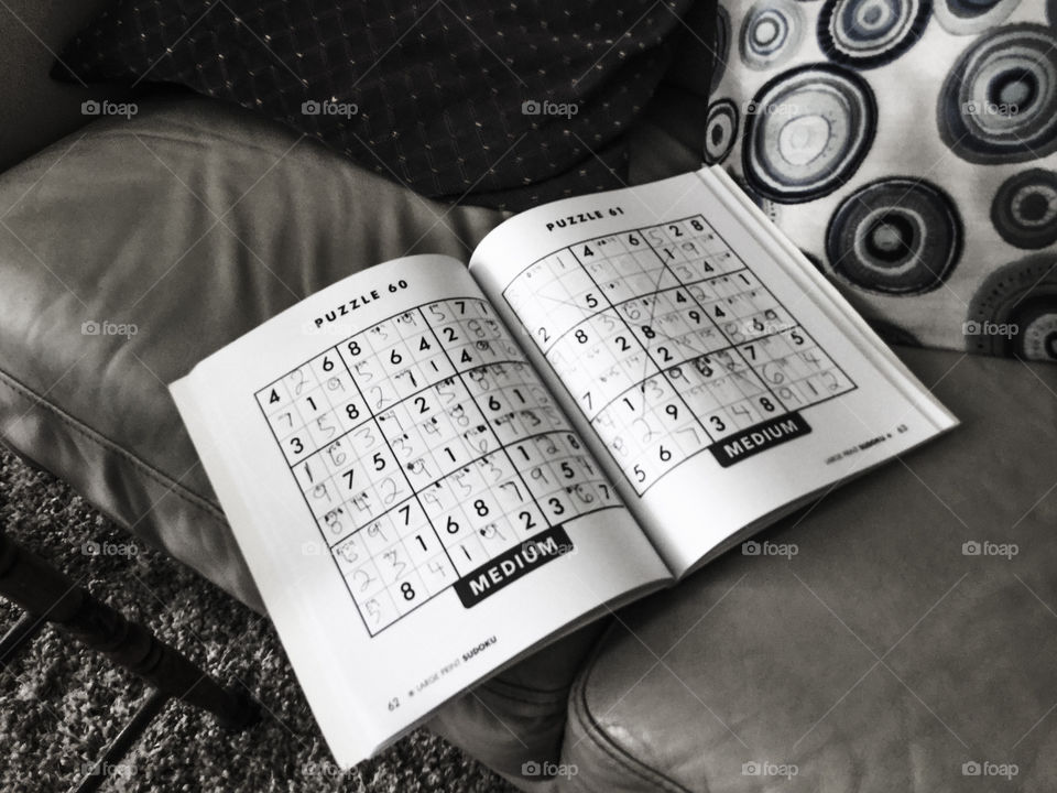Soduku Book on the Couch