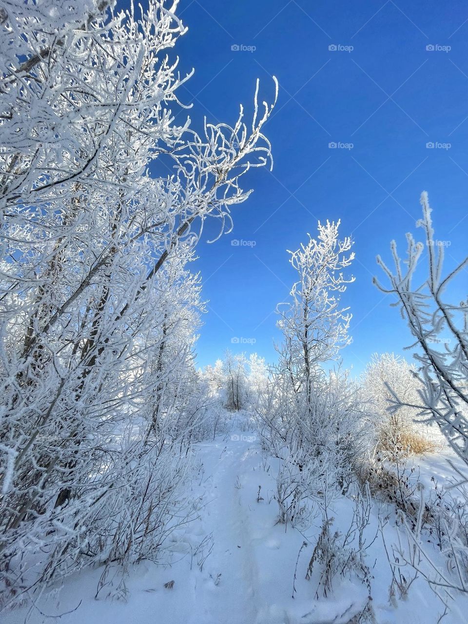 Winter hiking