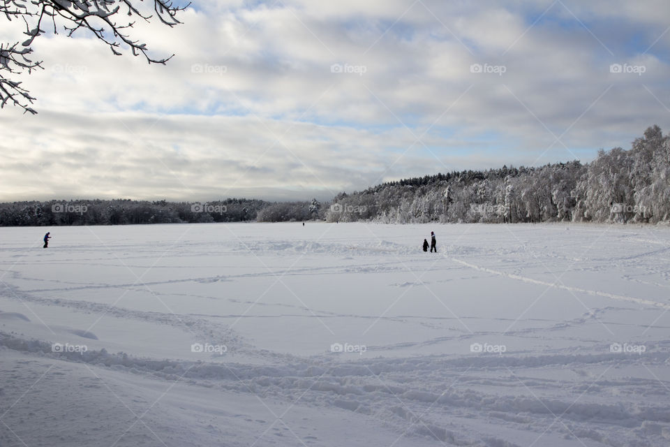 By the lake in the forest - lots of snow