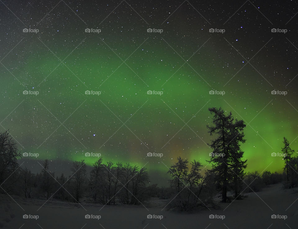 Night, aurora borealis, north, night north, polar region, night polar region, northern lights, stars, frost, frosty night, breath, cold, new year, Santa claus, northern santa claus, travel, night walk, shining sky, flashes, tundra, forest,