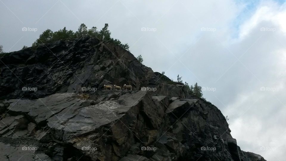The rough nature in Norway