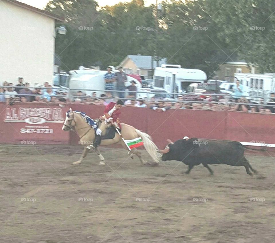 horseback bullfighting