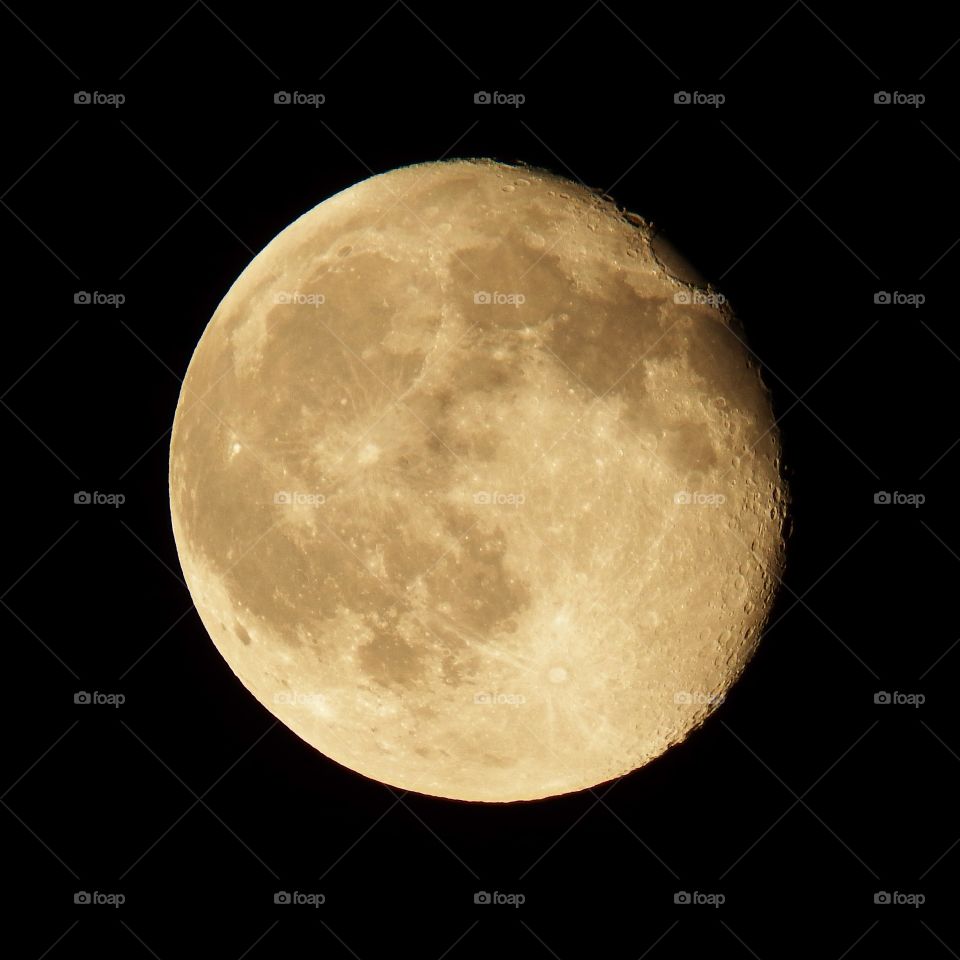 Golden waning gibbous. Captured this shot from my front yard on a clear night.