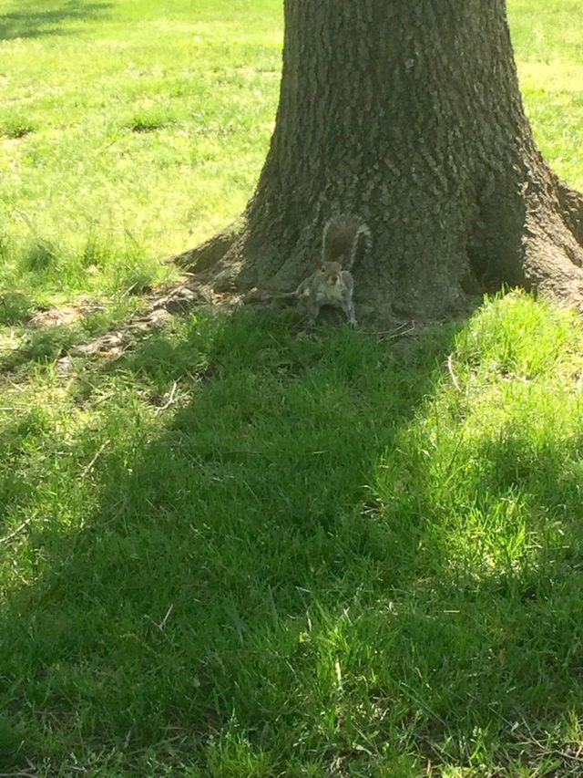 In the park 