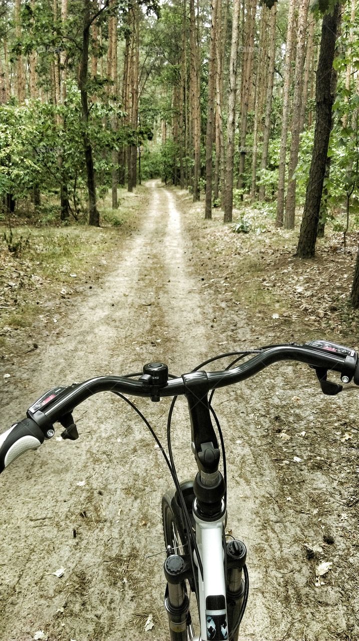 Cycling. Cycling in forest