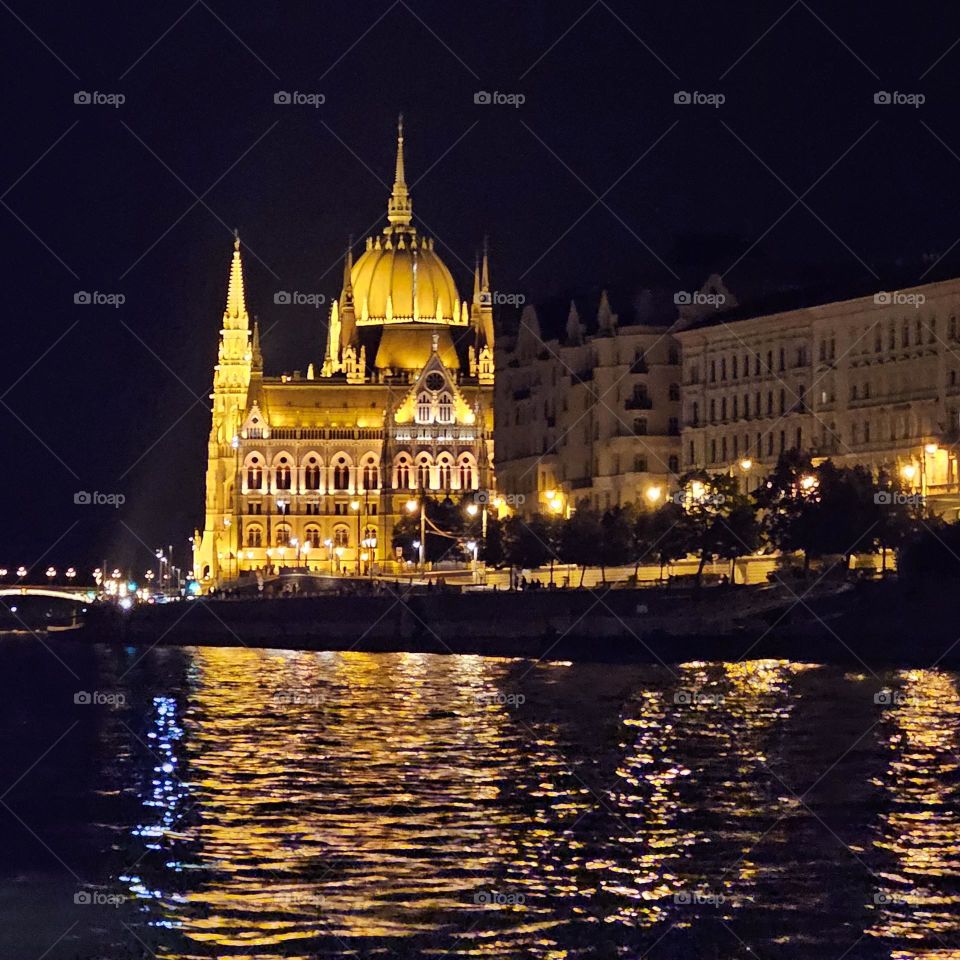 Wings of Light
Golden outlines tremble in the deep night,
and from the towering heights spills a sea of gleam.
Walking softly on invisible steps,
time fades between leaves and longing.