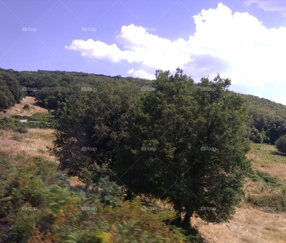 Battle: Countryside vs City