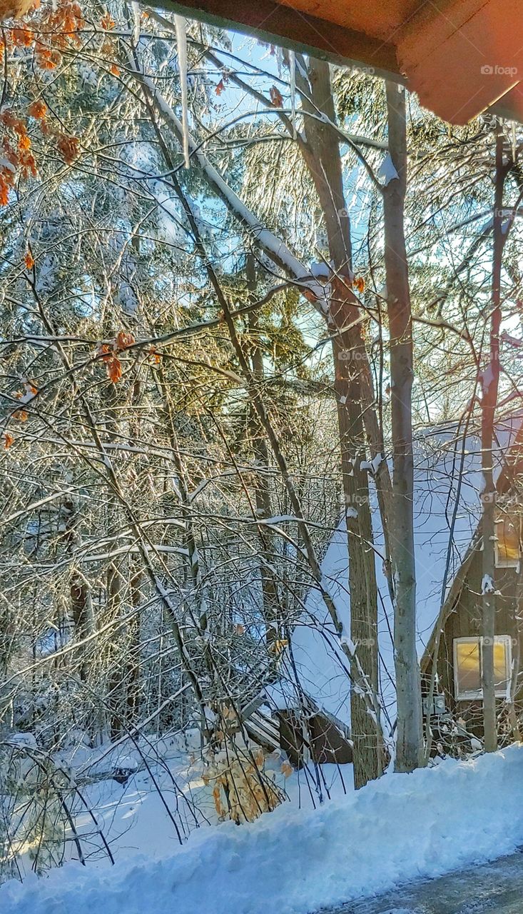 Adirondack A-Frame in Winter!