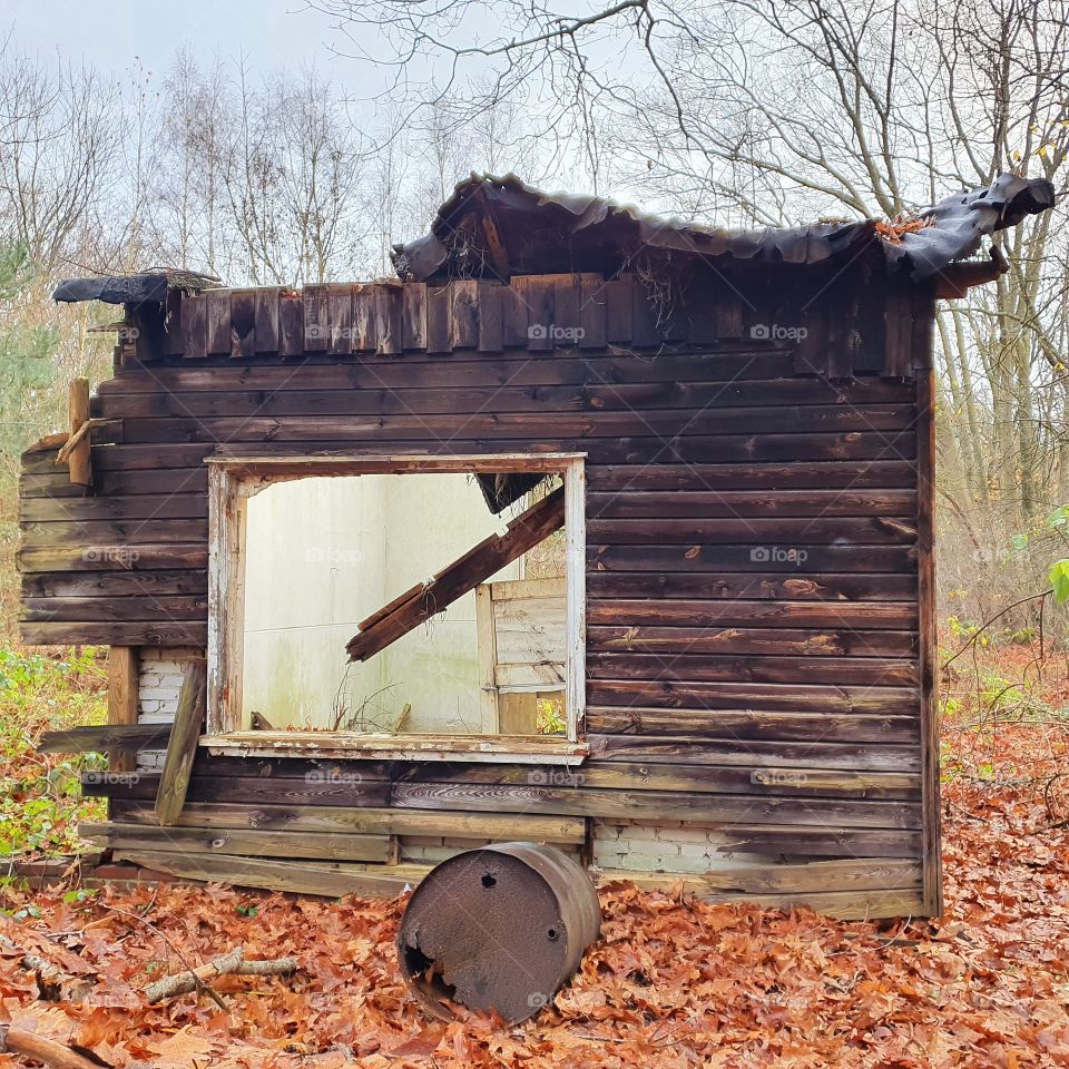 empty building, in the woods