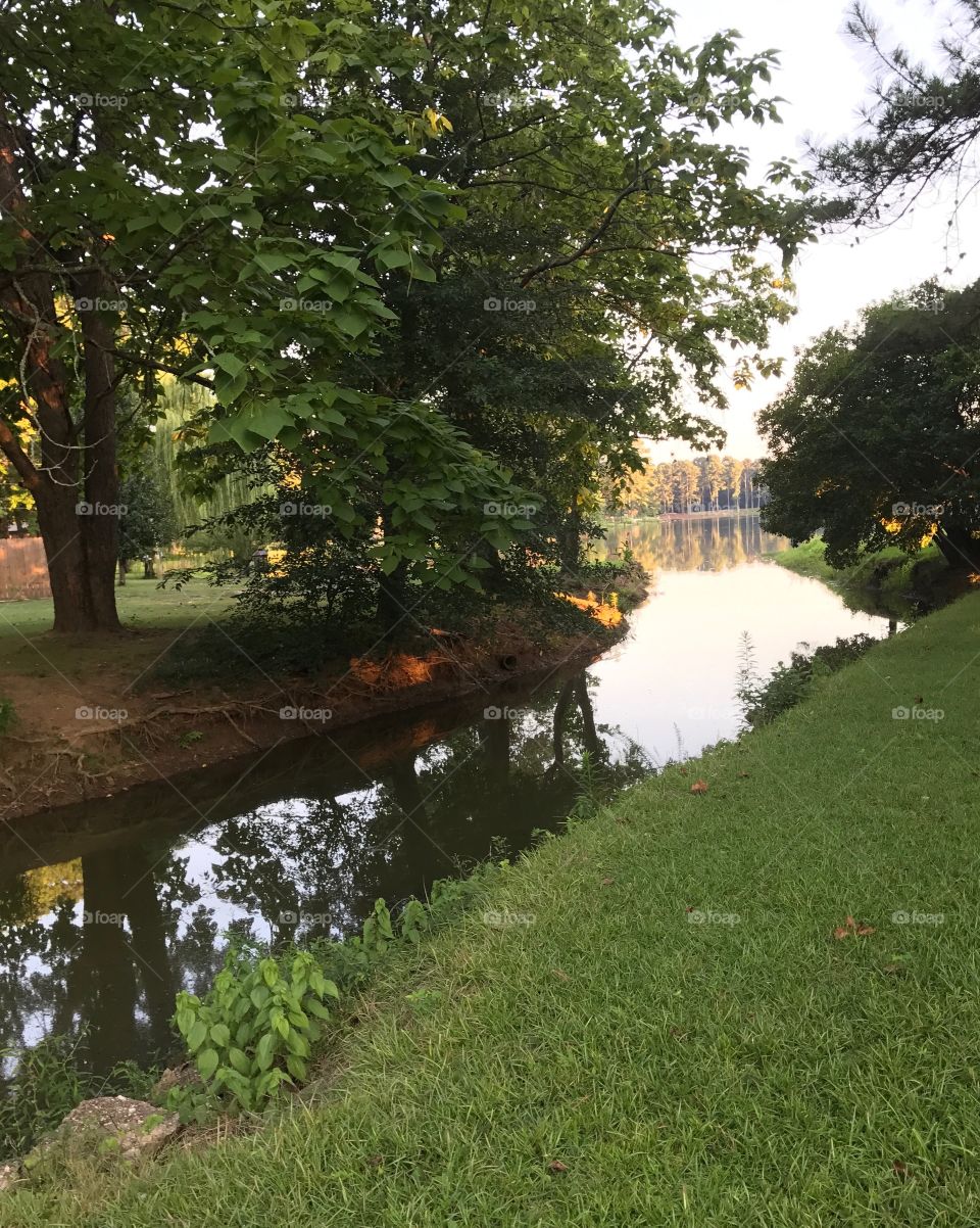 Scenic view  in my neighborhood on an evening walk of the creek that leads to a small lake.