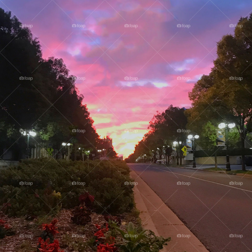 Sunrise over the boulevard.  