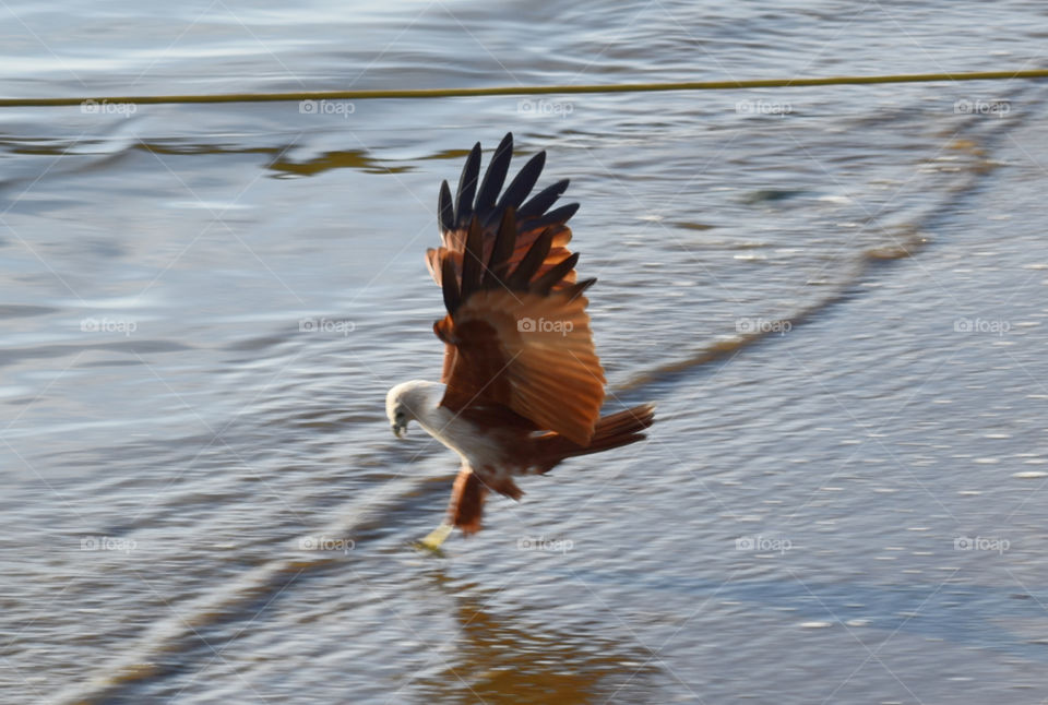 the power of concentration and focus will always deliver positive results