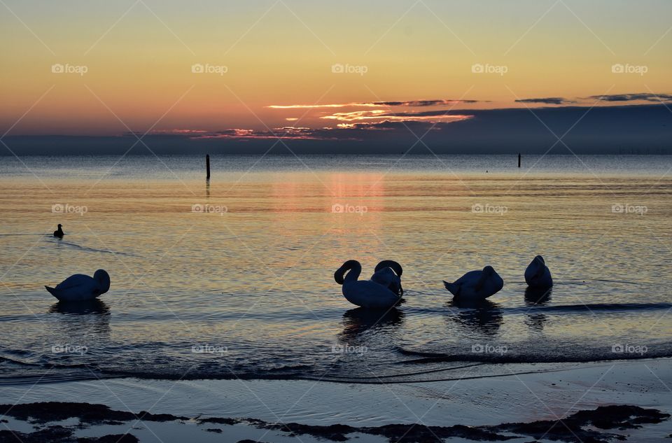 Water, Sea, Sunset, Ocean, Beach