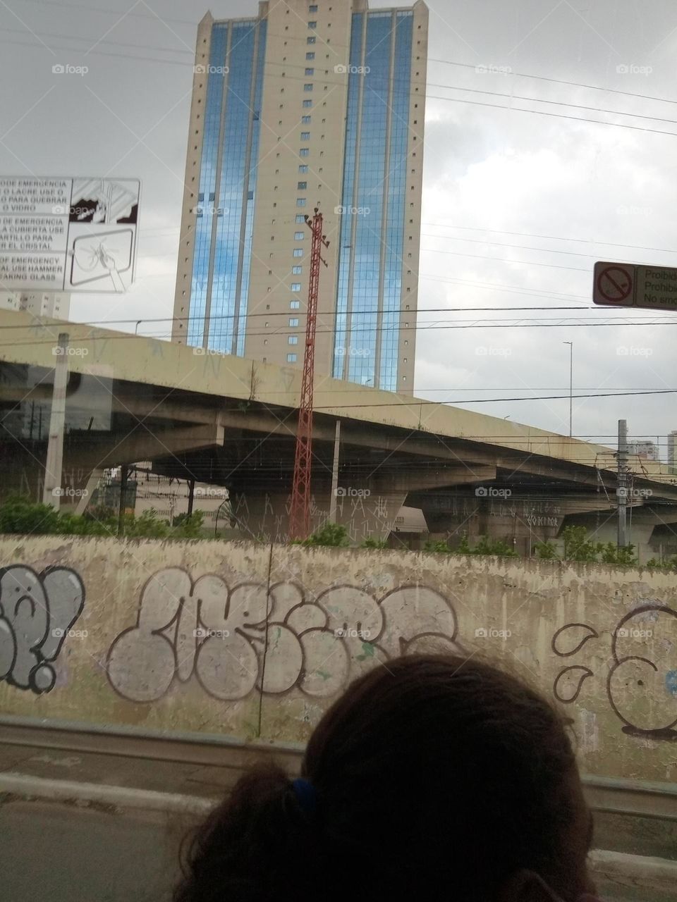 Editors'Choice Photo of the week A beleza do grafite