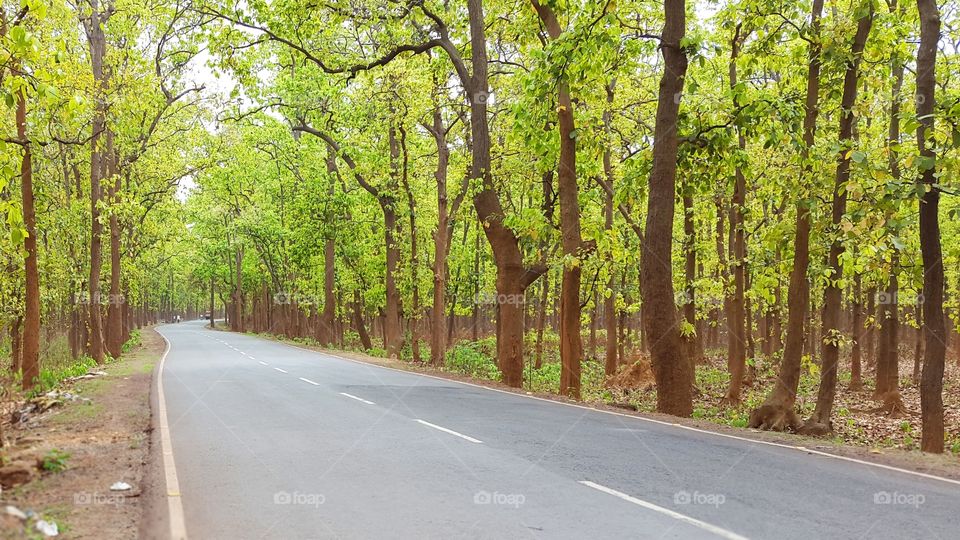 The Entry way towards Jhargram