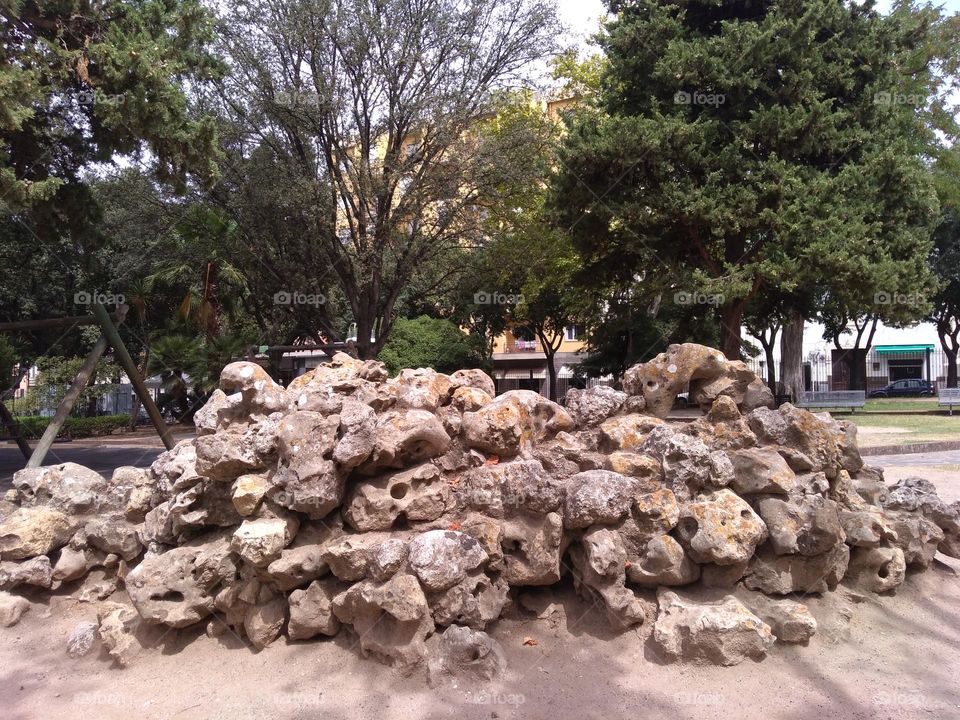 Editors' Choice - Photo of the Week