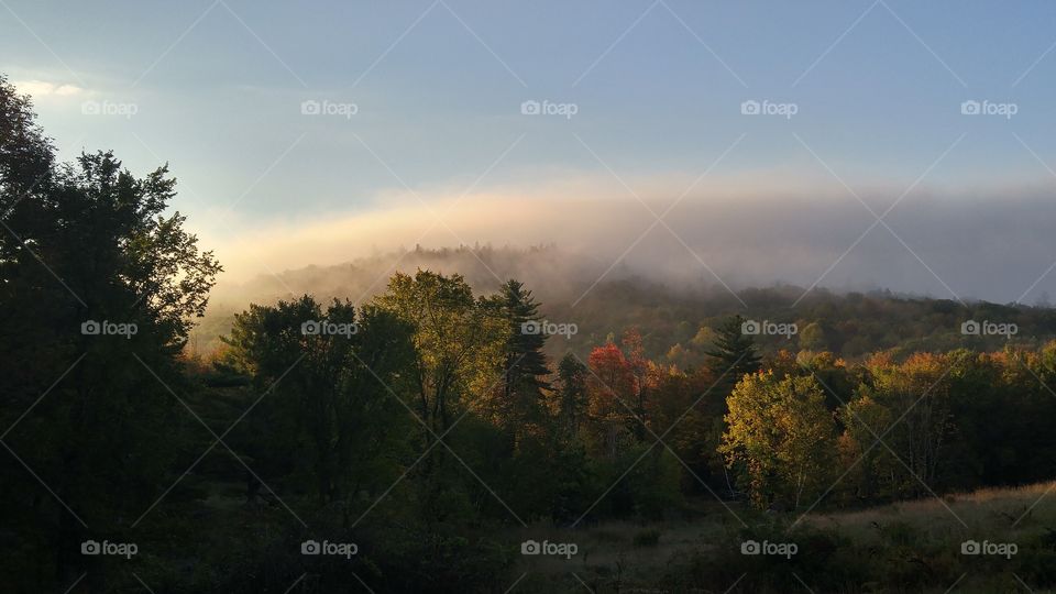 Misty Mountain with Field