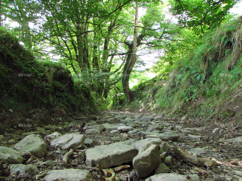 Steep stoney path