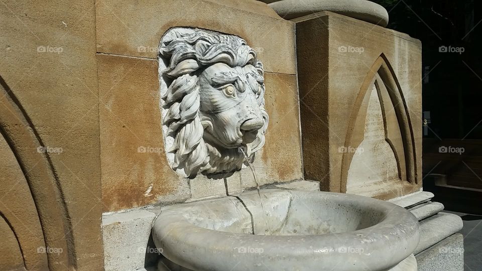 Lion fountain Australia