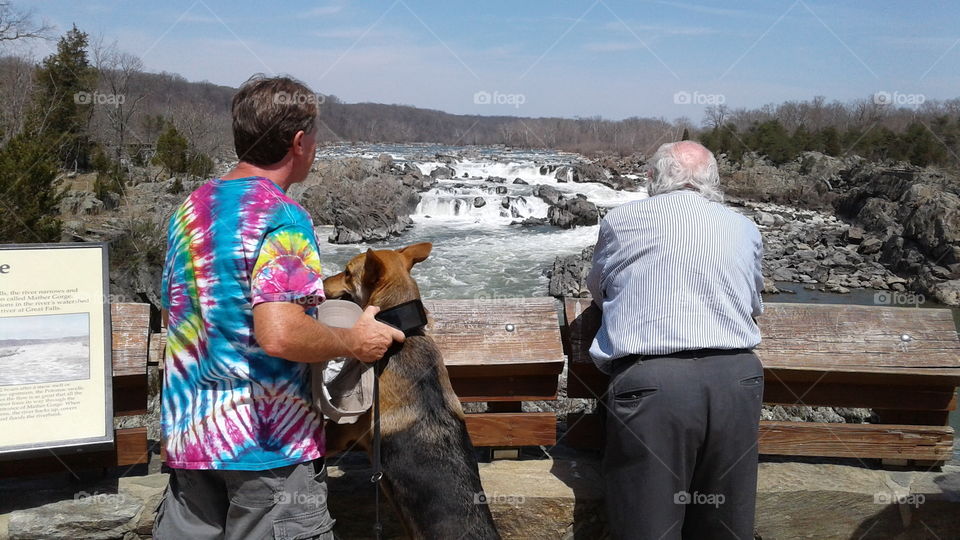 Great Falls Virgina with active family and pets