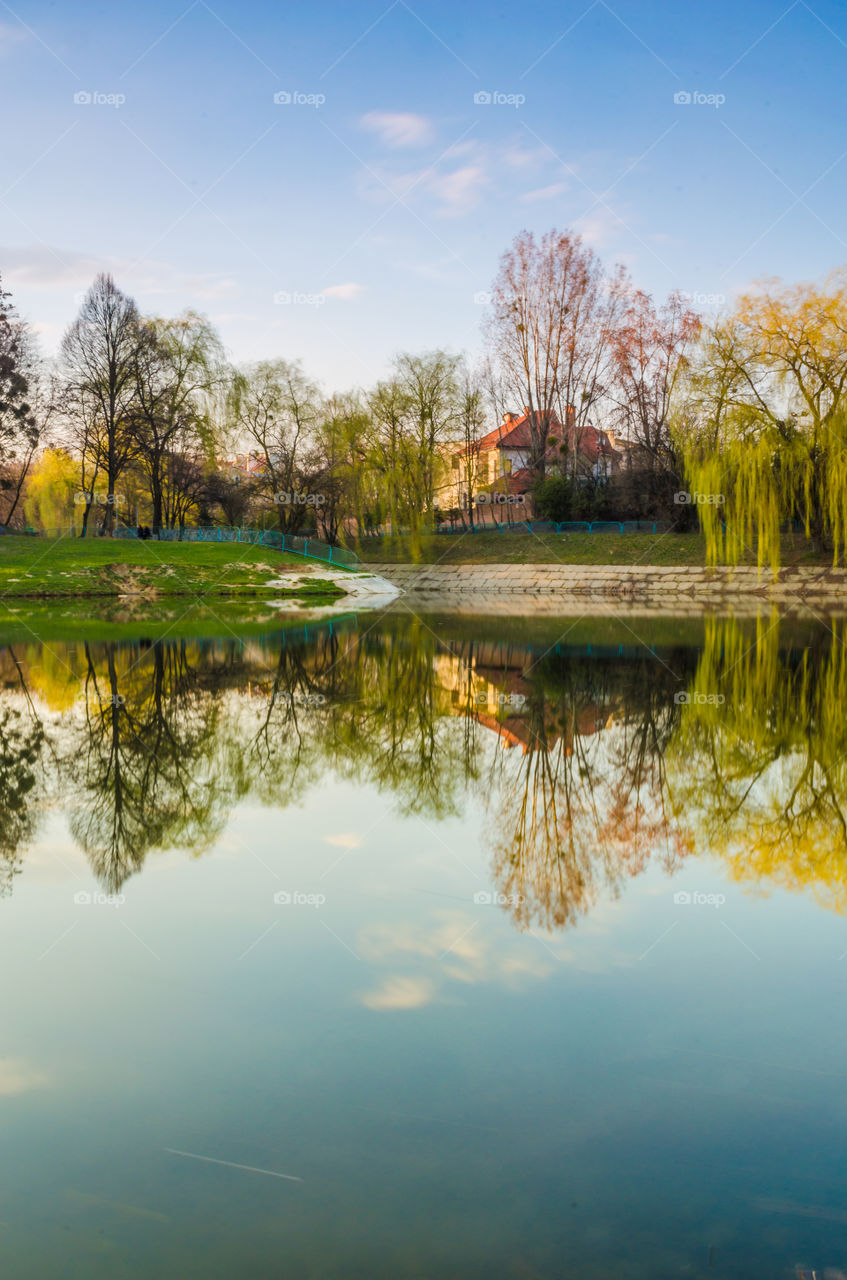 Scenic view of idyllic lake