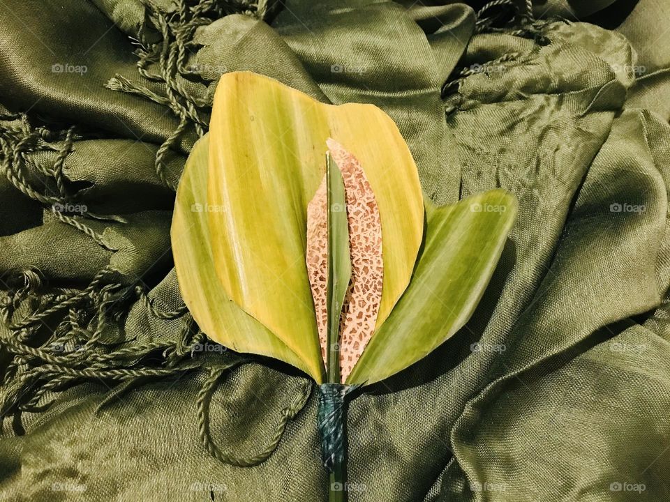 There is no waste in this world. Look around yourself! Making a craft is fun. My craft 😊