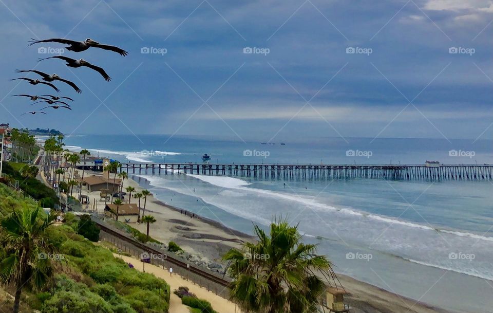 Foap Mission “Repetition”! Soaring Pelicans In A Row Along The Southern California Coastline!