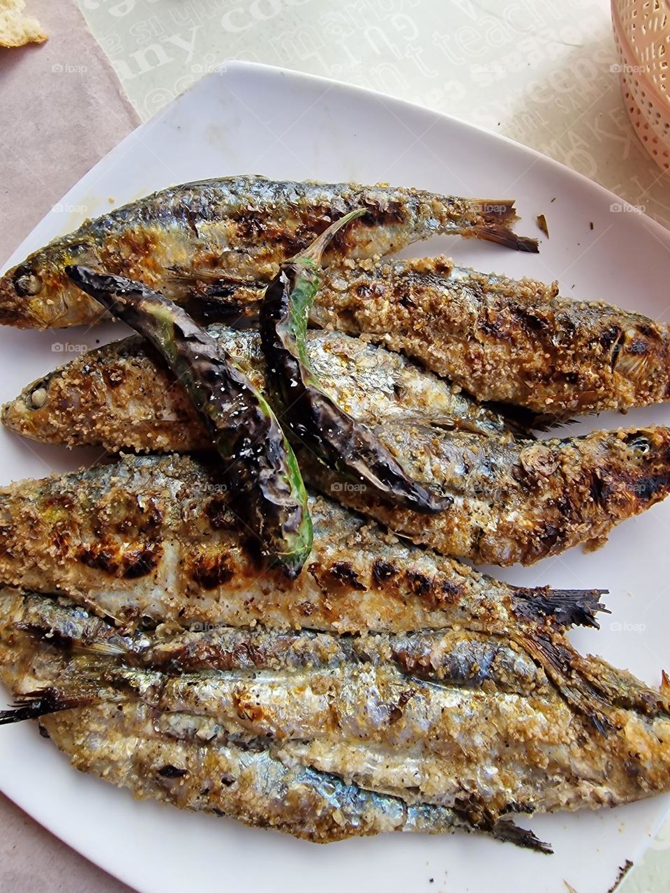 Grilled sardines