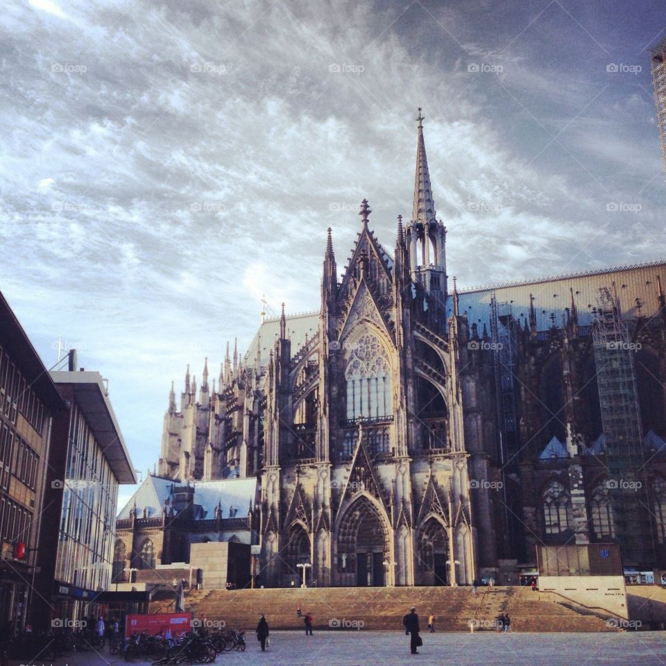 Cologne