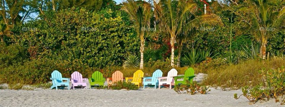 Beach Chairs