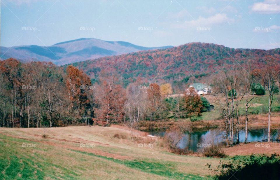 Mountain and trees