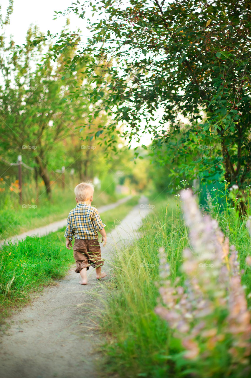 Nature, Summer, Grass, Outdoors, Park